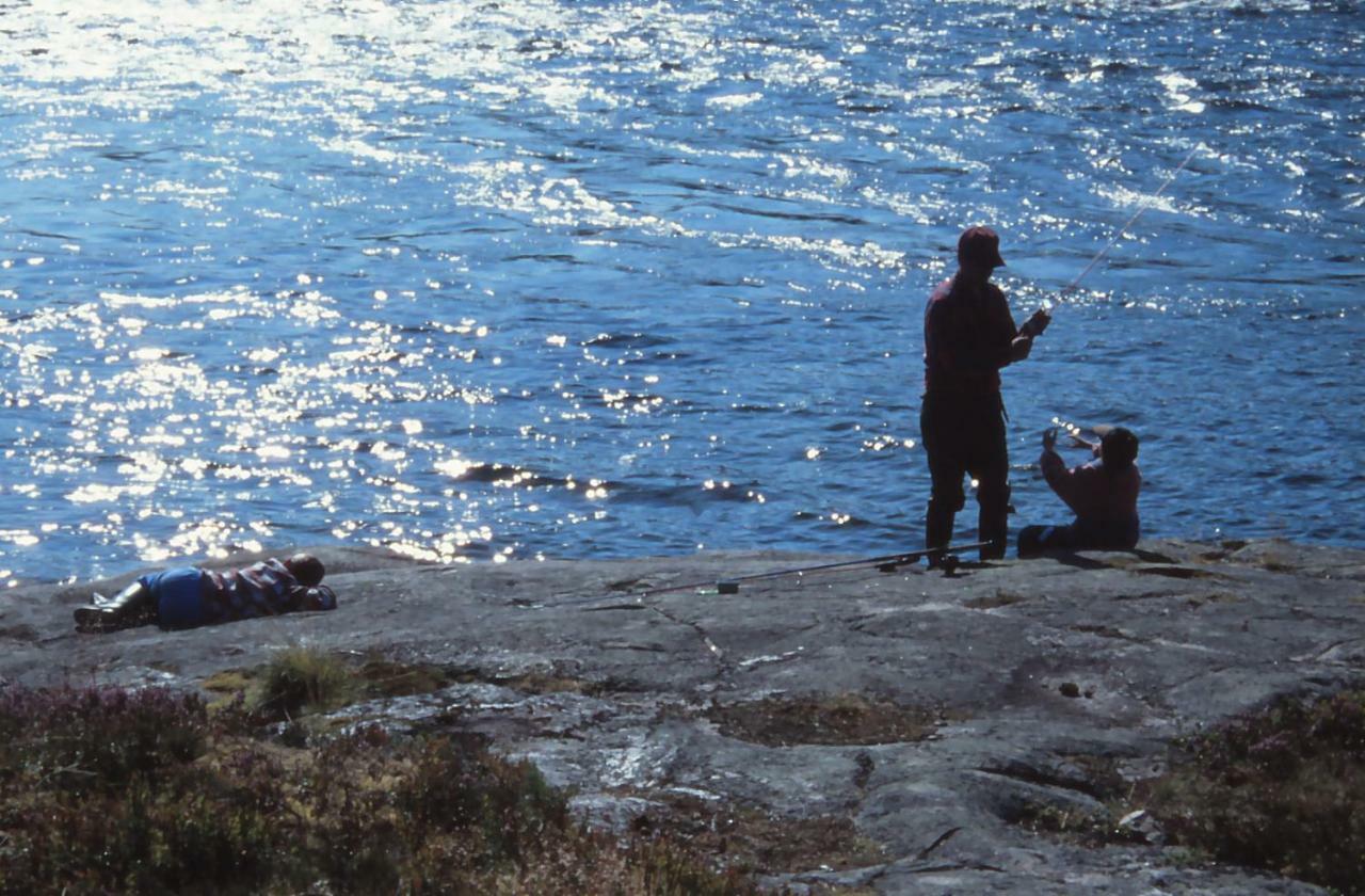 Piilijaervi Camping Gällivare Dış mekan fotoğraf